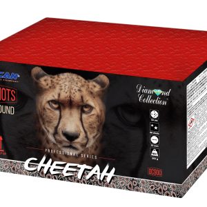 Cheetah